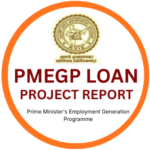 pmegp loan project report